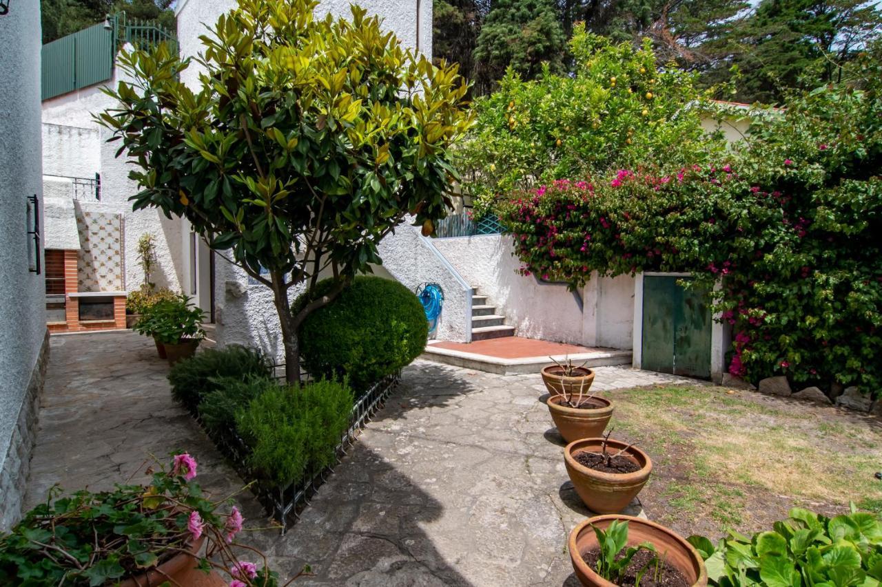 Vila Vivenda Santiago Sesimbra Exteriér fotografie